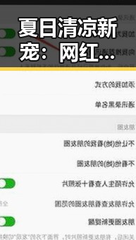 夏日清凉新宠：网红冰镇菜全面解读