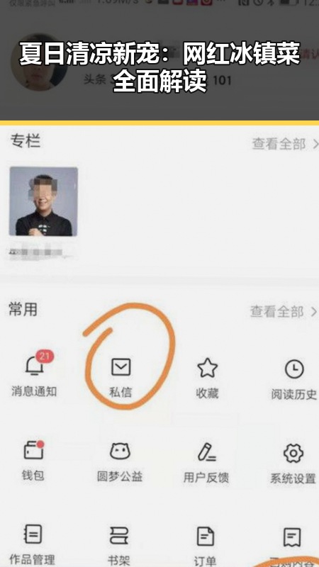 夏日清凉新宠：网红冰镇菜全面解读