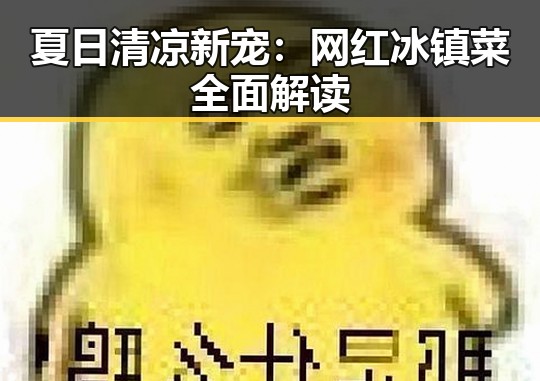 夏日清凉新宠：网红冰镇菜全面解读
