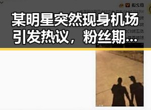 某明星突然现身机场引发热议，粉丝期待新动向